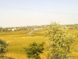 Терновский канал в камышах