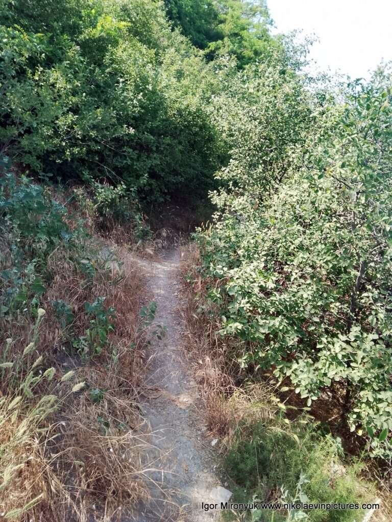 Улица Скалистая в Соляных, в Николаеве.