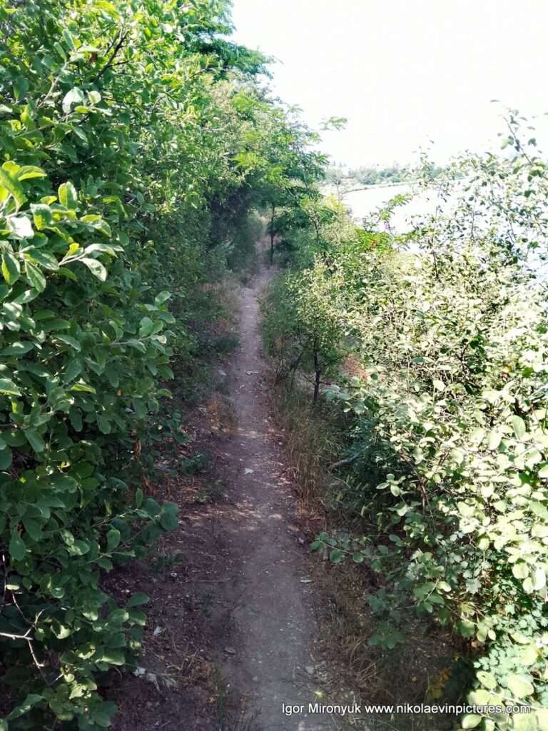 Улица Скалистая в Соляных, в Николаеве.