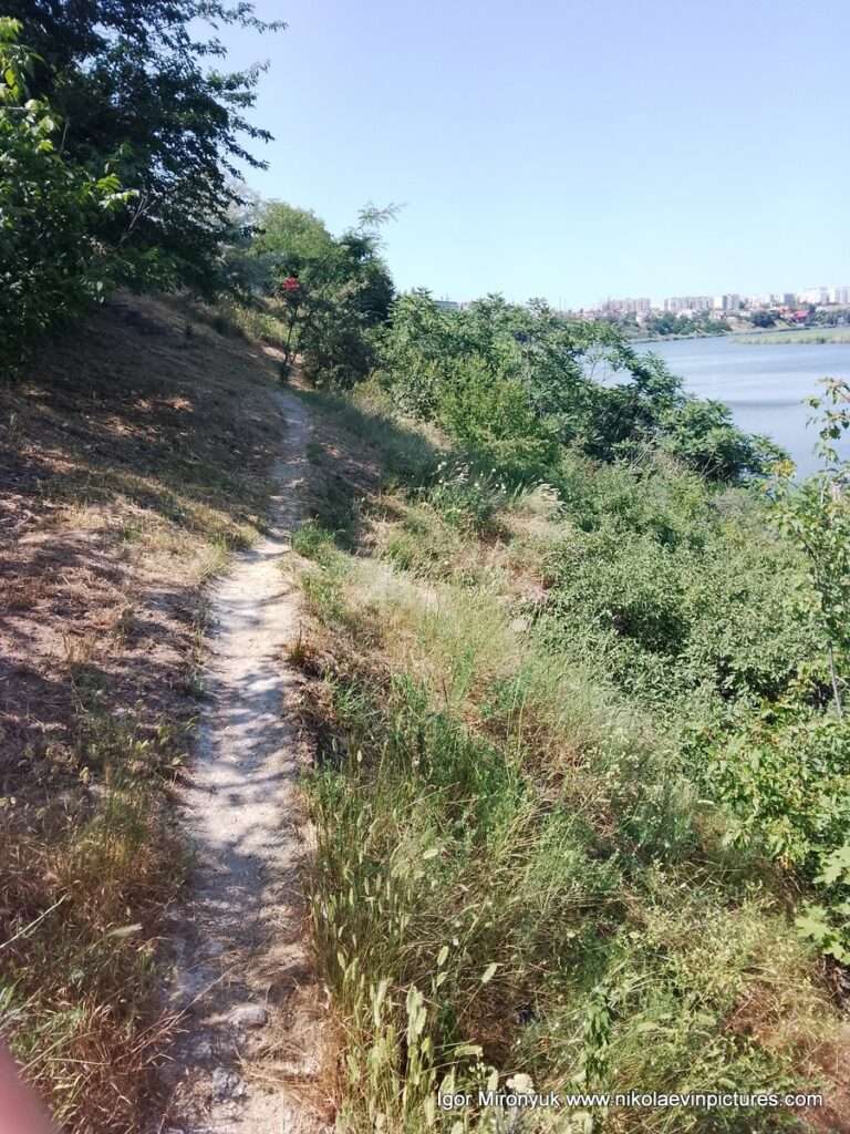 Улица Скалистая в Соляных, в Николаеве.