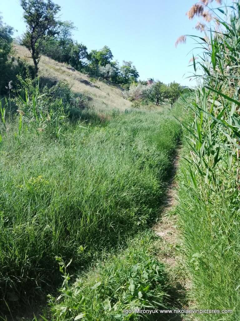 Улица Скалистая в Соляных, в Николаеве.