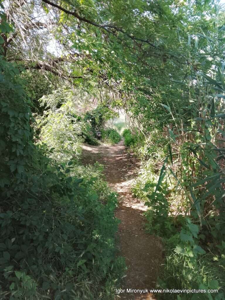 Улица Скалистая в Соляных, в Николаеве.