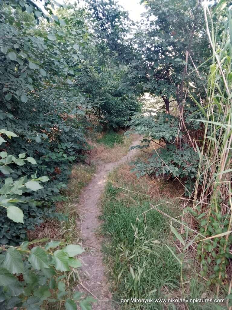 Улица Скалистая в Соляных, в Николаеве.