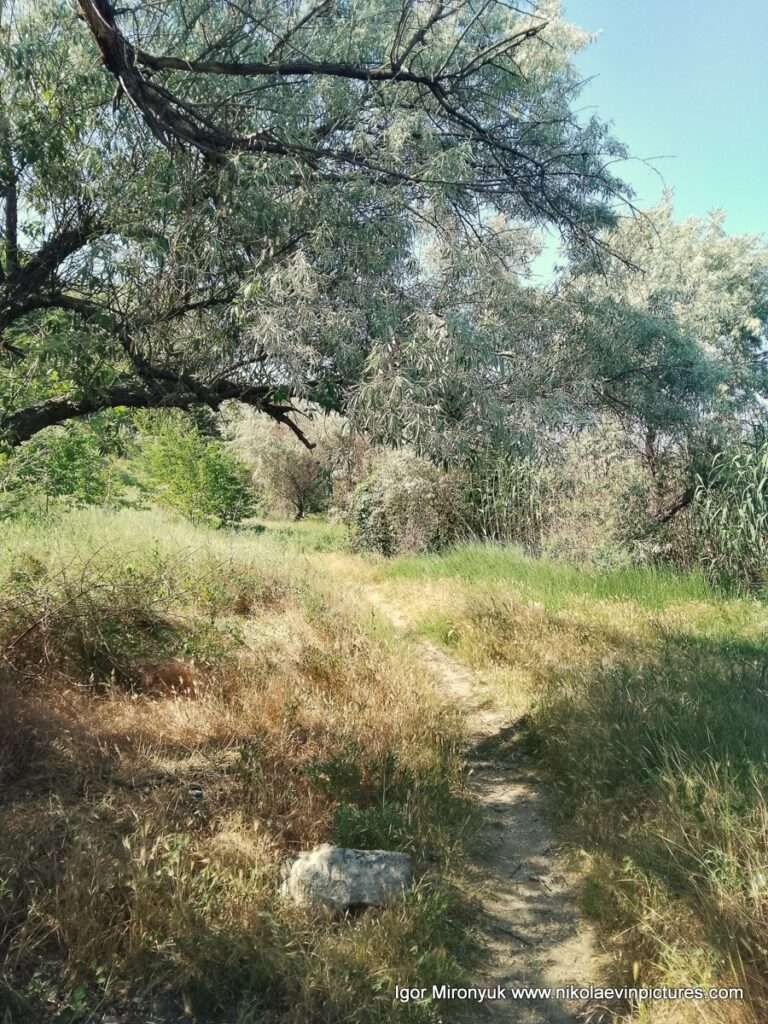 Улица Скалистая в Соляных, в Николаеве.