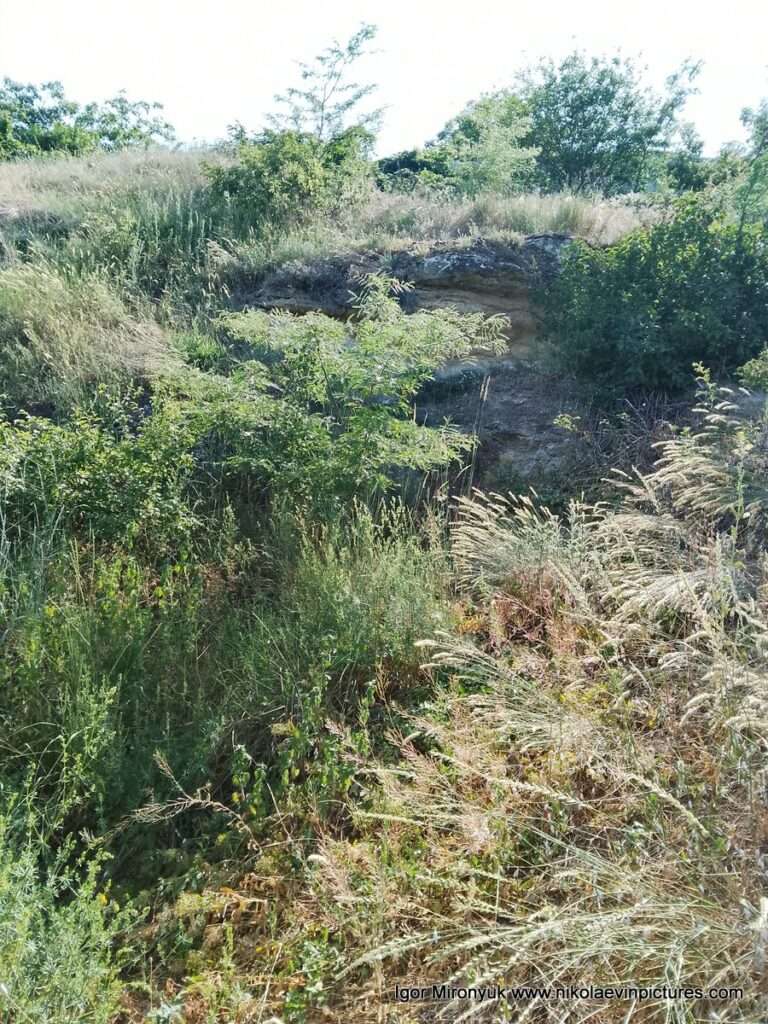 Улица Скалистая в Соляных, в Николаеве.