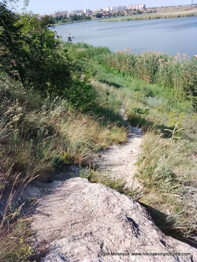 Улица Скалистая в Соляных, в Николаеве.