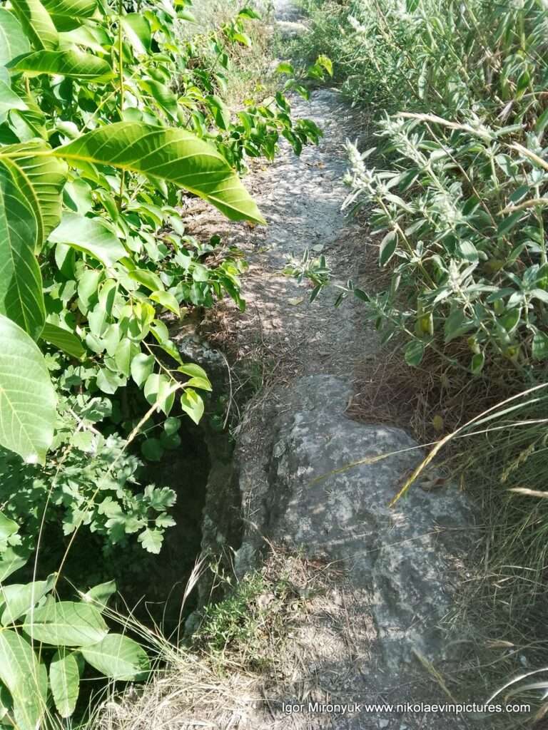 Улица Скалистая в Соляных, в Николаеве.