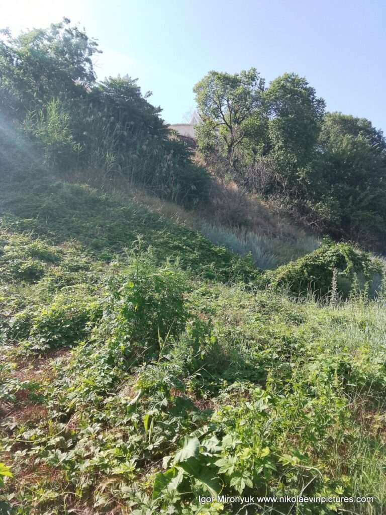 Улица Скалистая в Соляных, в Николаеве.