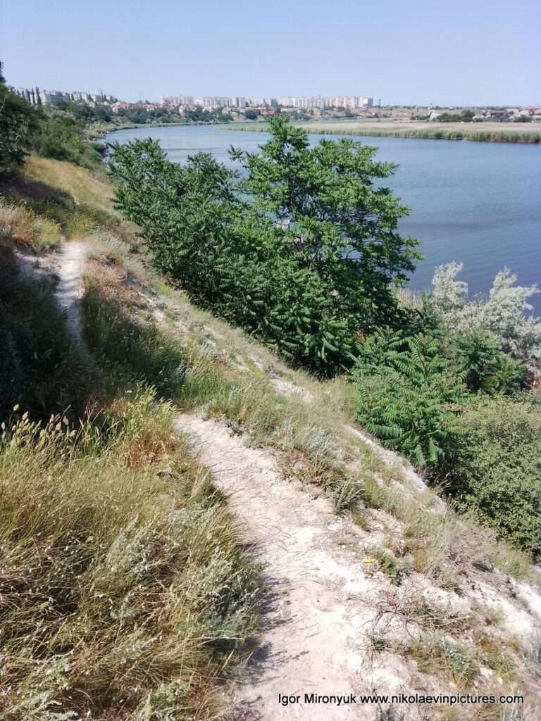 Улица Скалистая - это берег Соляных, напротив Ракетного Урочища в Николаеве. На фото начало этой улицы. Отсюда видно реку Ингул, склоны Улицы Скалистой, камыши Ракетного Урочища, Северный и Порожнечу.