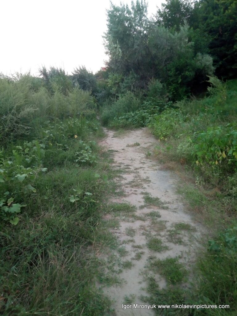 Улица Скалистая