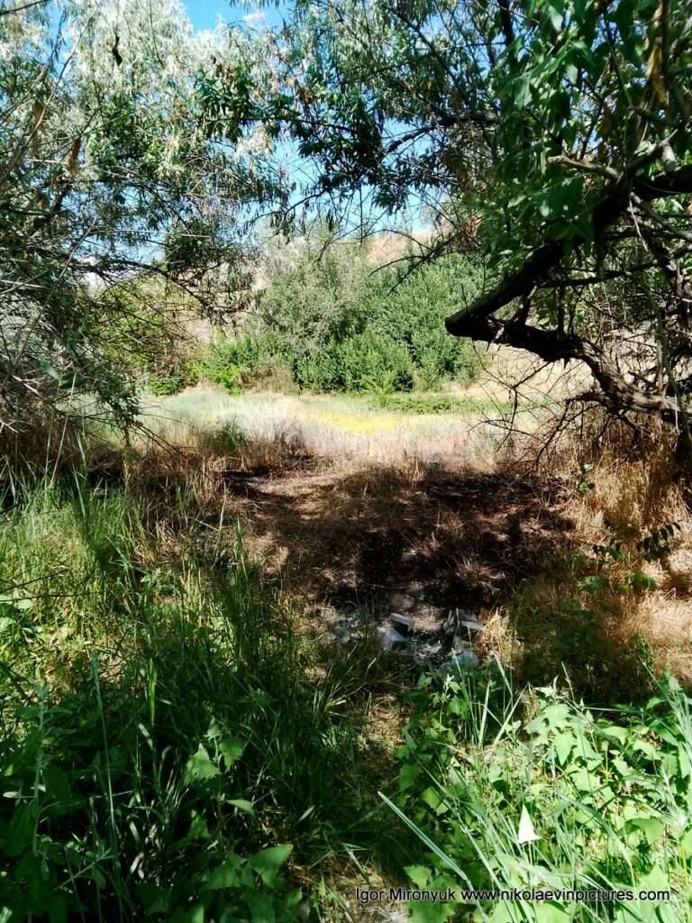 Я выхожу из зелёного пространства на долине Скала 6, в Николаеве.