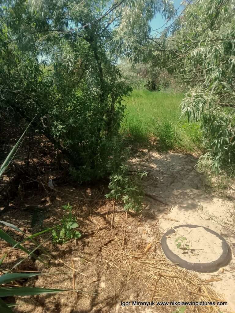 Я вхожу в зелёное пространство на долине Скала 6, в Николаеве.