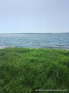 На фото зелёная трава и синяя вода.