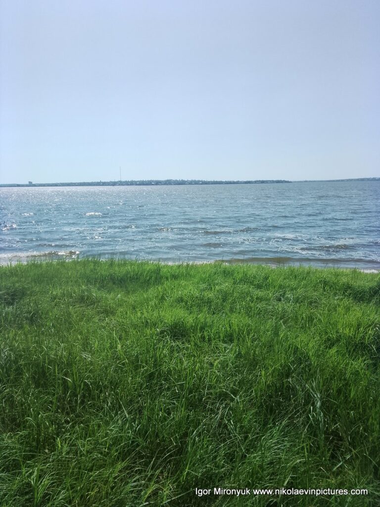 На фото зелёная трава и синяя вода.