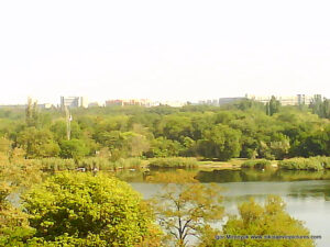 Николаевская гавань