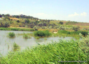 В Николаеве, в Терновке есть низменность (Низменная территория, Lowland), в которой находится пруд, а в пруде - камыши.