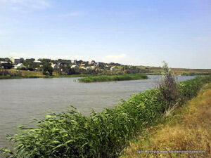 В Николаеве, в Терновке есть низменность (Низменная территория, Lowland), в которой находится пруд, а в пруде - камыши.