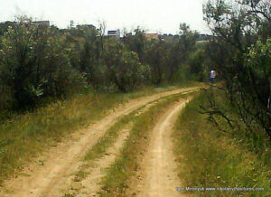 В Николаеве, в Терновке есть низменность (Низменная территория, Lowland), в которой находится пруд, а в пруде - камыши. Вокруг пруда есть грунтовая дорога.