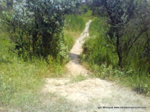 В Николаеве, в Терновке есть низменность (Низменная территория, Lowland), из которой можно выйти в дачный посёлок.