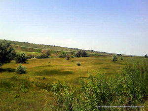 Низменная территория в терновке, Николаев.