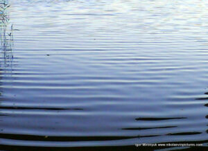 Ребристая синяя вода словно магический портал.