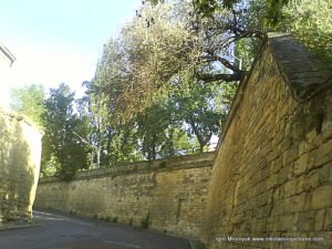 Улица из ракушняка в Николаеве за кораблестроительным заводом. 