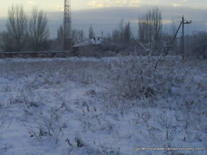 Пустырь зимой