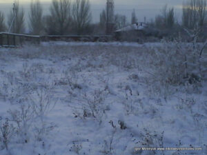 Пустырь зимой