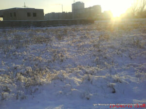 Пустырь зимой