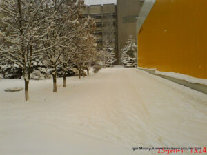 Зимний Николаев