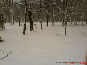 Парк Победы зимой в Николаеве.