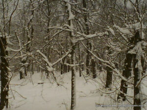 Парк Победы зимой в Николаеве.