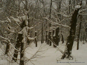 Парк Победы зимой в Николаеве.