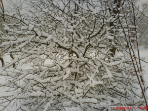 Парк Победы зимой в Николаеве.