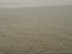 Зимний Николаев