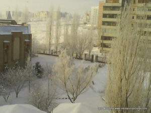 Северный зимой, Николаев.