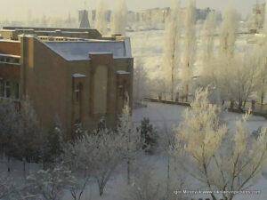 Северный зимой, Николаев.