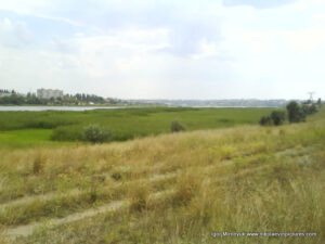 Казарского в Николаеве