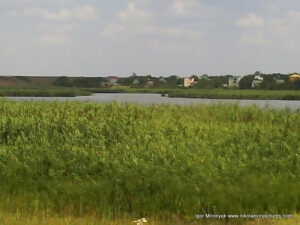 Казарского в Николаеве