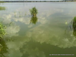 Отражение облаков в воде