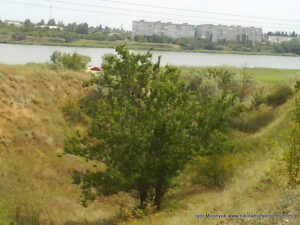 Овраги на полуострове Аляуды в Николаеве