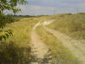 Полуостров Аляуды в Николаеве
