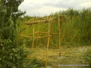 Бунгало из тростников