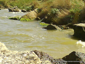 Камни на берегу Вандерленда в Николаеве.