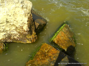 Камни на берегу Вандерленда в Николаеве.