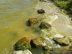 Камни на берегу Вандерленда в Николаеве.