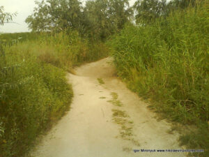 Дорога мимо Намывского пустыря в Николаеве.