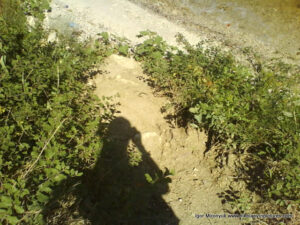 Моя тень в Вандерленде.