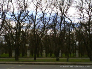 Небо и парк