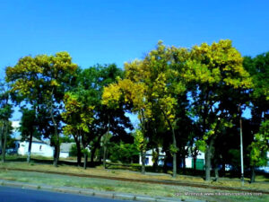 Осень в Николаеве